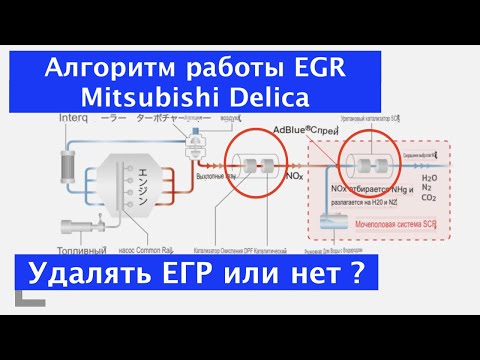 Видео: Mitsubishi Delica УДАЛЯТЬ ЕГР ИЛИ НЕТ