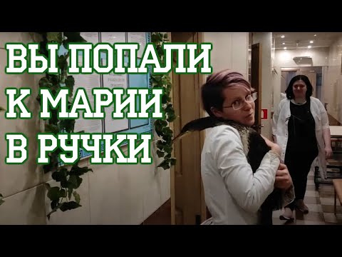 Видео: Прием у Марии Маркиной (Архив 2022)