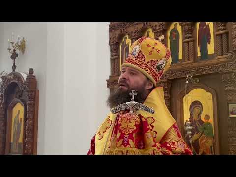 Видео: «Поставьте себя на место Владыки Арсения»