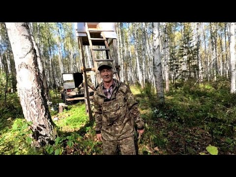 Видео: Четыре МЕДВЕДЯ. Достроил ВЫШКУ. Такого я ещё не видел.