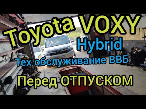 Видео: Toyota Voxy Hybrid Тех обслуживание ВВБ перед ОТПУСКОМ.