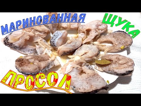 Видео: МАРИНОВАННАЯ ЩУКА "ПРОСОЛ" ЛУЧШИЙ РЕЦЕПТ