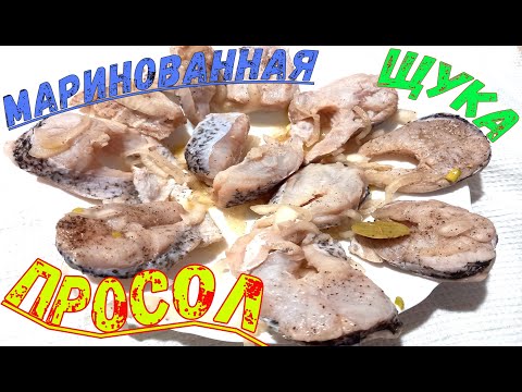 Видео: МАРИНОВАННАЯ ЩУКА "ПРОСОЛ" ЛУЧШИЙ РЕЦЕПТ