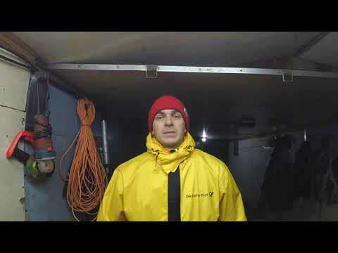 Видео: Какое снаряжение нужно для Арбористики #arborist#снаряжение#снаряженеидляарбористики#спилдерева#work