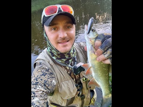 Видео: Новые места, голавль и жерех присутсвует
