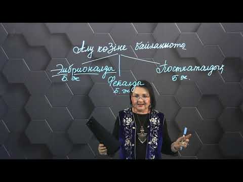 Видео: Бағаналы жасушалардың түрлері. 11 сынып - §30. 2 бөлім.