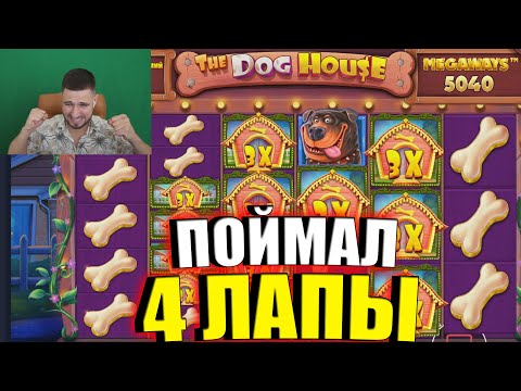 Видео: Поймал 4 ЛАПЫ в DOG HOUSE MGW на ЧТО СПОСОБНЫ СОБАКИ