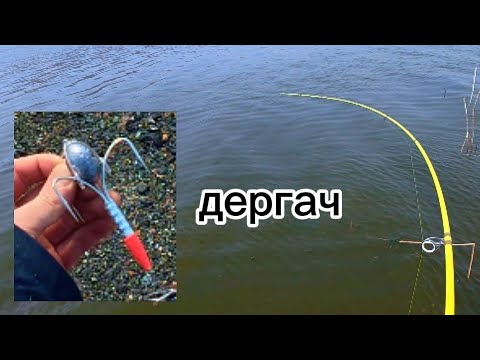 Видео: ДЕРГАЧ! НА КАЖДОМ ЗАБРОСЕ РЫБА! #рыбалка #fishing #낚시 #рыбалканаозере #carpfishing