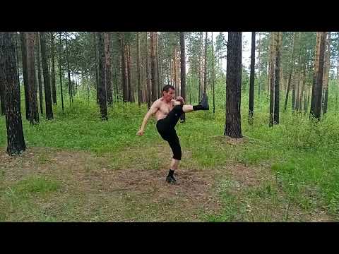 Видео: Кунг-фу на природе 573
