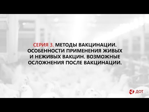 Видео: Джавадов Э.Д.: Методы вакцинации птицы. Применение живых и неживых вакцин. Возможные осложнения.