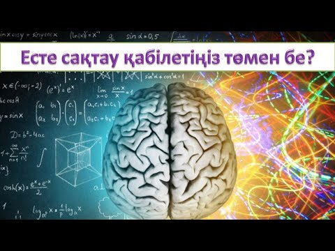 Видео: Есте сақтау қабілетін қалай жақсартуға болады?