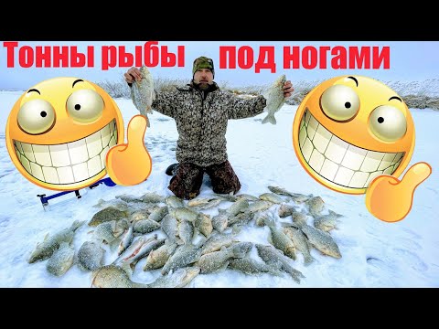 Видео: Рыбалка 2021 Нашли тонны рыбы подо льдом Караси не лезут в лунку Хапуга для рыбалки Вот она удача!