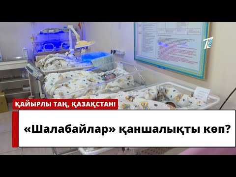 Видео: «Шалабайлар» қаншалықты көп?