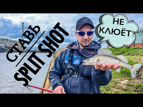 Видео: 🔥САМАЯ УЛОВИСТАЯ СНАСТЬ, КОГДА НЕ КЛЮЕТ⚠️ Ловля ОКУНЯ и СУДАКА на спиннинг весной 2024