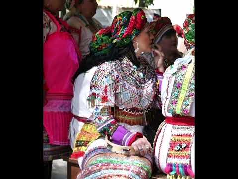 Видео: Мокшень стирьхне мазынят - Надежда Палаткина