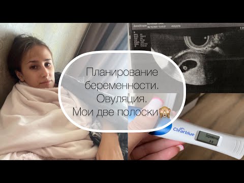 Видео: Планирование беременности/овуляция/первые симптомы/как сообщила мужу и родителям❤️