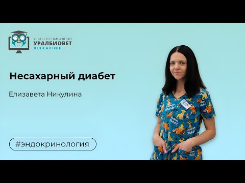 Видео: Несахарный диабет, лектор Елизавета Никулина