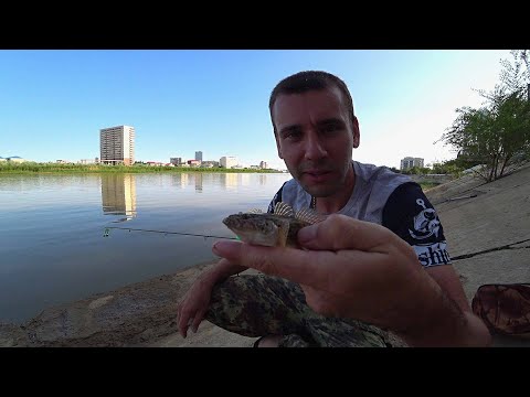 Видео: Рыбалка в сердце АТЫРАУ: Поплавочная Удочка в Действии