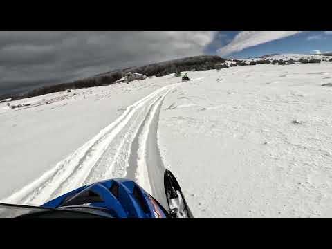 Видео: моторна шейна 500cc Узана