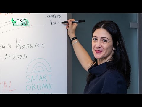 Видео: Когато страстта към пчеларството прерасне в бизнес с био мед