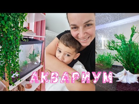Видео: Основни стъпки за успешното отглеждане на рибки във аквариум . Спешно заведохме Рая на ветеринар.