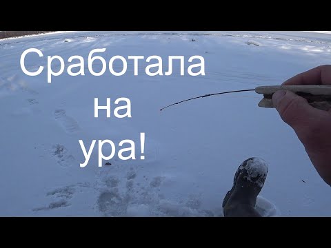 Видео: Достал безкивковую удочку и началось! Моя новая снасть.Рыбалка на Оби.