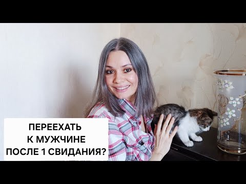 Видео: Новый знакомый хочет съехаться... А как же кот? 