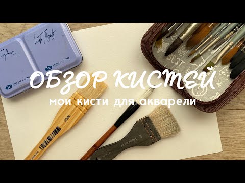 Видео: ОБЗОР КИСТЕЙ: мои кисти для акварели