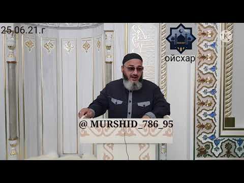 Видео: ИСА ХЬАЖА ОЙСХАР!_/ШЕ БАЛА БОЦАРГ ЦА ДИЦАРХ ЛАЬЦ ХЬЕХАМ_/ 25.06.21г