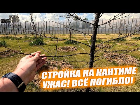Видео: Стройка на Кантемировской. МСД и ЮВХ. Всё погибло! Июнь 2024