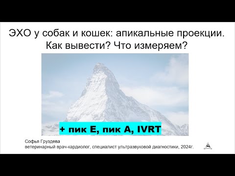 Видео: Апикальные проекции | ЭХО собаке и кошке | Диастолическая функция ЛЖ | Фракция выброса | IVRT, пики