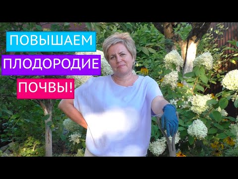 Видео: КАК УЛУЧШИТЬ ПОЧВУ В ГРЯДКАХ, ЧТОБЫ ПОЛУЧИТЬ ПРЕВОСХОДНЫЙ УРОЖАЙ!!