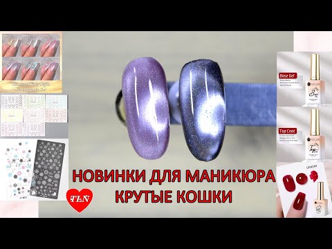 Видео: НОВИНКИ/КРУТЫЕ КОШКИ BORN PRETTY/РАСПАКОВКА