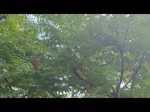 Видео: Его мысли.чувства.намерения 👆🏻