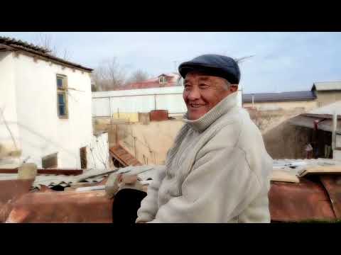 Видео: ИГРОВЫЕ ГОЛУБИ! В ГОСТЯХ У ДЕДА САФО.ГОЛУБИ ЧИНЫ САМАРКАНДСКИЕ. УЗБЕКИСТАН ГОРОД САМАРКАНД.