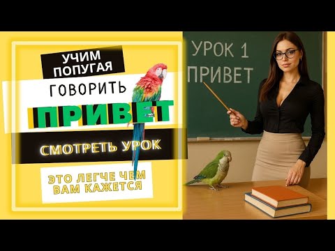Видео: Учим попугая говорить слово ПРИВЕТ
