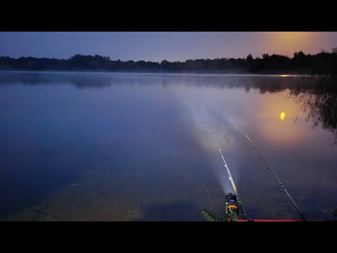 Видео: Рыбалка на фидер в октябре на диком озере Витебщины. 