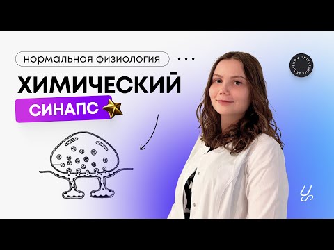 Видео: Нормальная физиология | Химический синапс