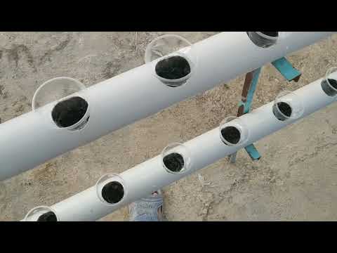 Видео: Ещё один шак к аквапоники