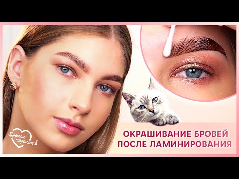 Видео: Окрашивание бровей после ламинирования | Анна Кравченко