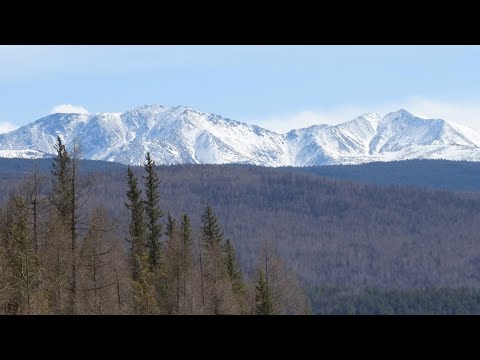 Видео: Аршан-Жемчуг- Нилова  Пустынь 2024г.