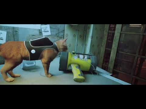 Видео: Спасли Дока #Stray