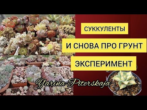 Видео: И снова про грунт. Эксперимент удался!