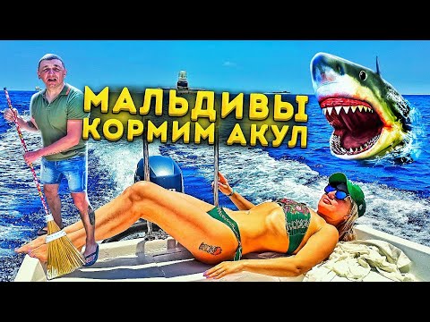 Видео: Цены на Мальдивах! Акулы на острове Расду!