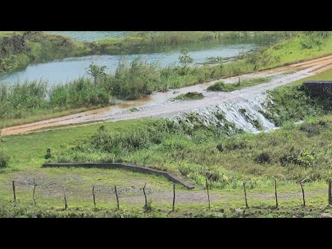 Видео: Река Манчестер вышла из берегов! Ураган «Мелисса» разрушил дома, семьи оказались в ловушке!