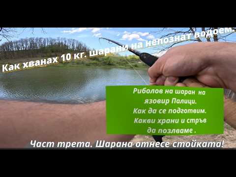 Видео: ШАРАНА щеше да СЧУПИ ФИДЕРА. Част трета. Риболов на ШАРАН на яз. ПАЛИЦИ. Риболов на НЕПОЗНАТ водоем.