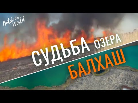 Видео: Что ждёт Балхаш и Прибалхашье в ближайшем будущем? «Наедине с природой»