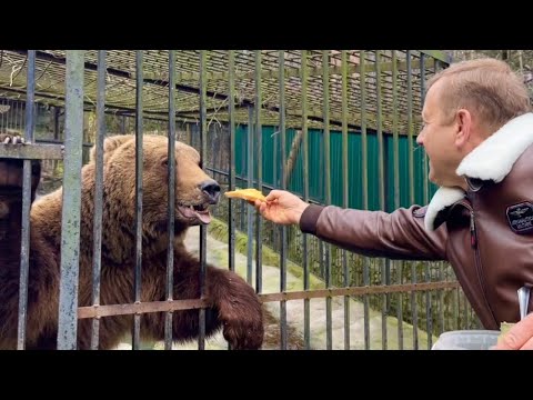 Видео: Олег Зубков УГОЩАЕТ  медведя и делает ему БУТЕРБРОД с медом!