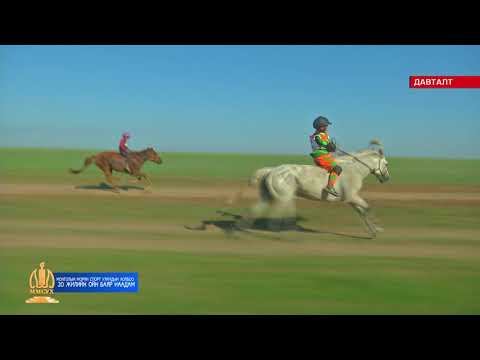 Видео: ММСУХ 20 жилийн ой