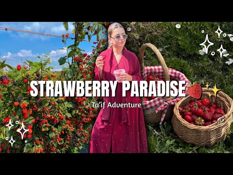 Видео: Этот прекрасный город находится всего в часе езды от Джидды 🌸🍓 | Клубничная ферма и фабрика роз в...